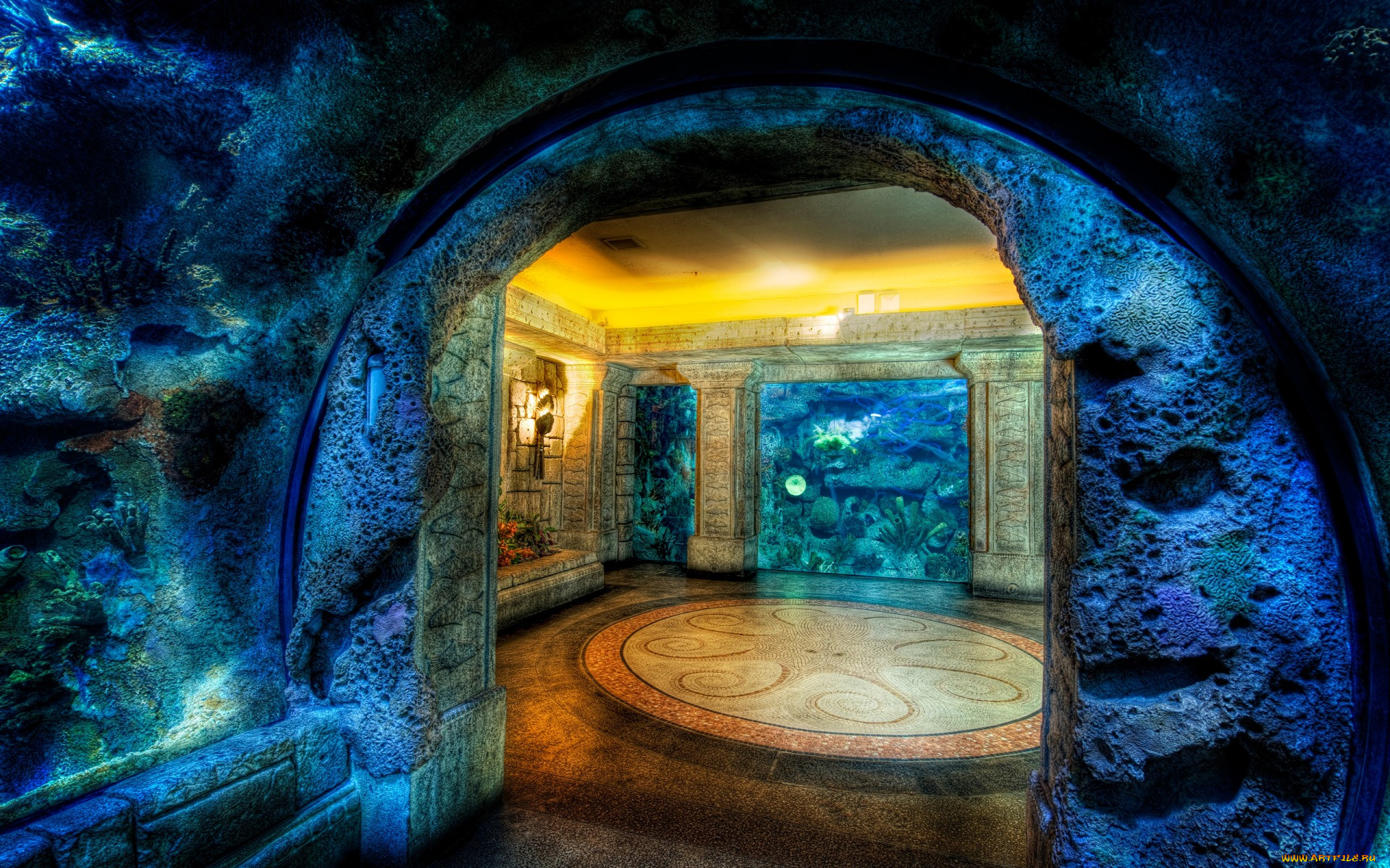 shark, reef, aquarium, , 